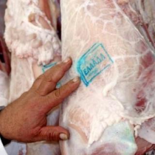 Θεσσαλονίκη: Τιμή 10 ευρώ το κιλό ζητούν οι κτηνοτρόφοι για τα αμνοερίφια