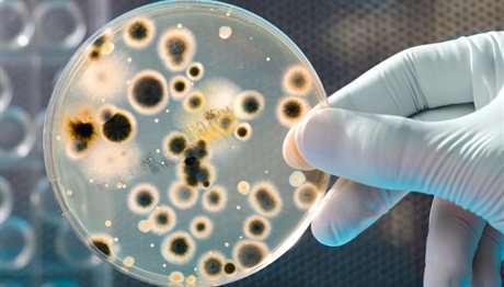 υπερμικρόβια