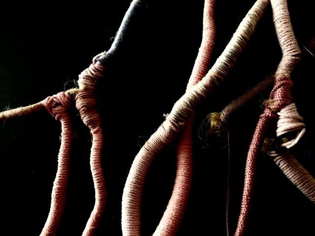 3-egkrateia_roumpou_roots-detail-web_1.jpg 3-egkrateia_roumpou_roots-detail-web_1.jpg