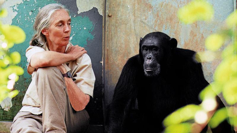 jane-goodall-photo-credit-michael-neugebauer.jpg jane-goodall-photo-credit-michael-neugebauer.jpg