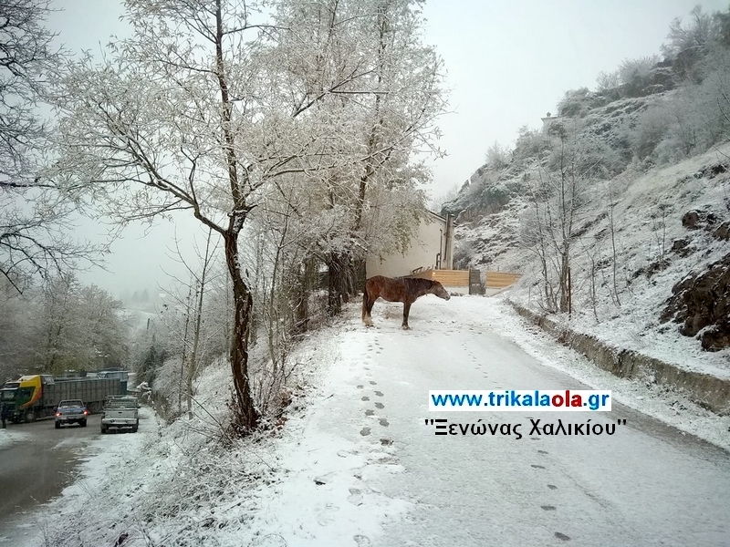 trikala-hioni.jpg trikala-hioni.jpg