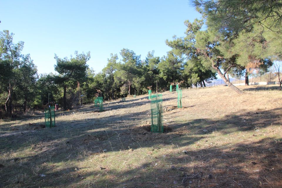 alsos2.jpg alsos2.jpg