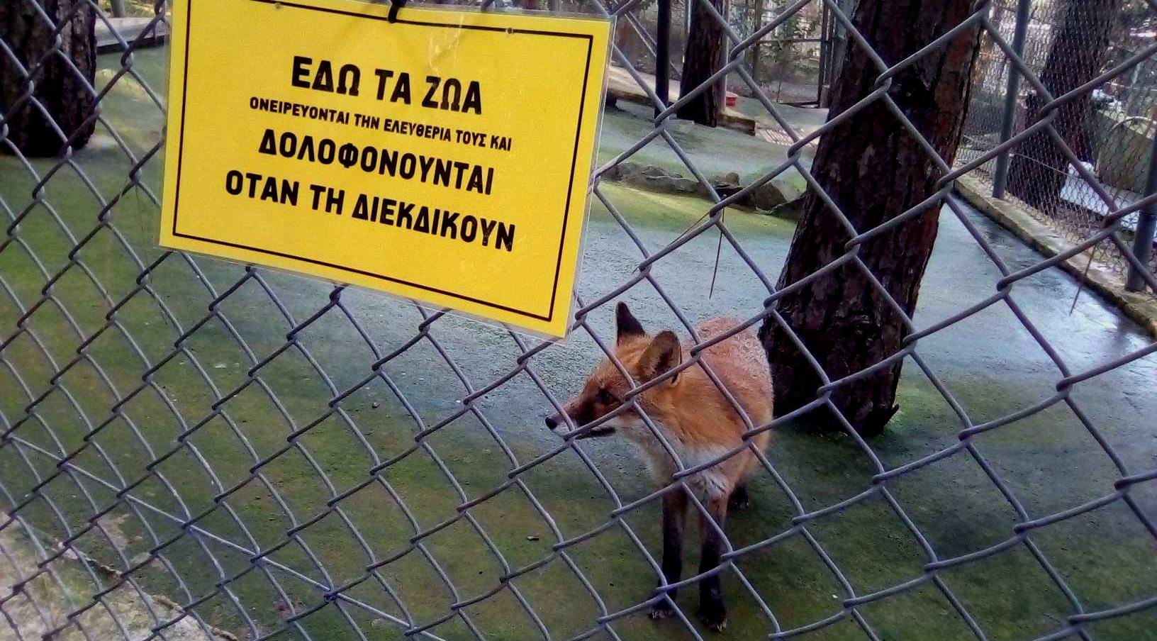 zoo_1.jpg zoo_1.jpg