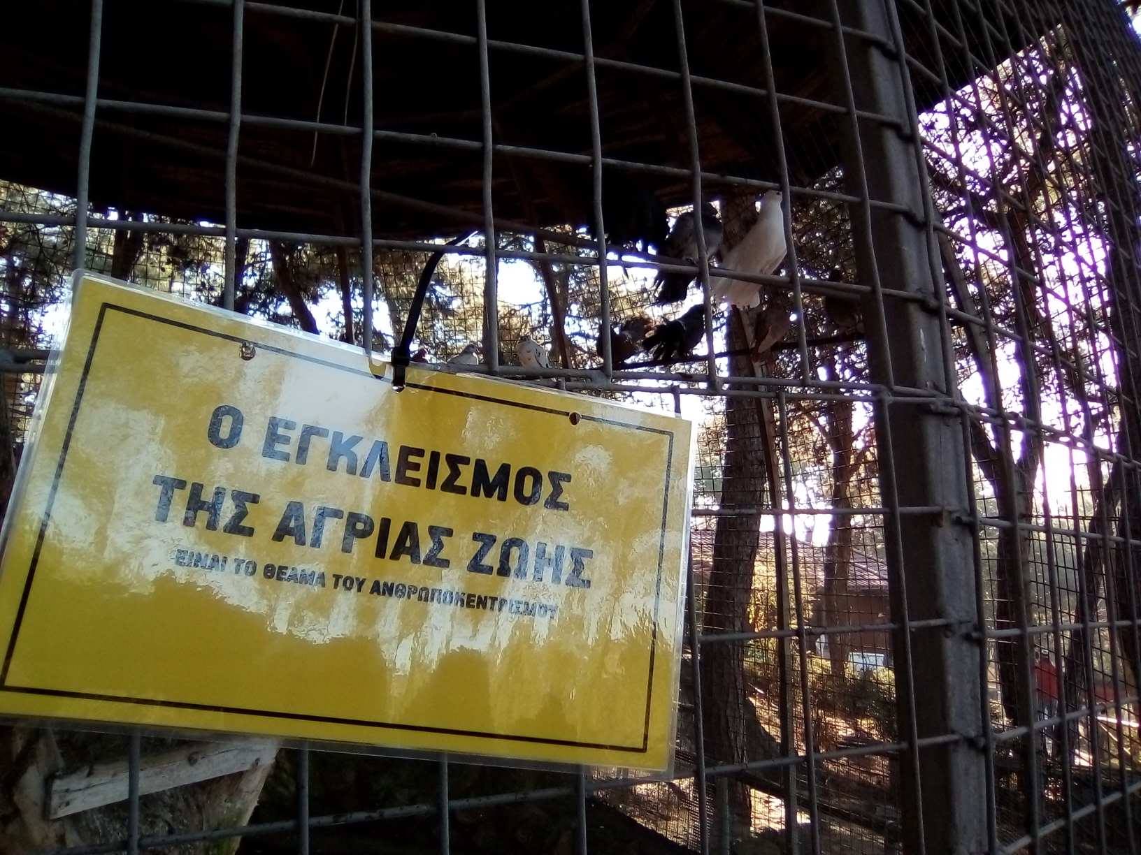 zoo_3.jpg zoo_3.jpg