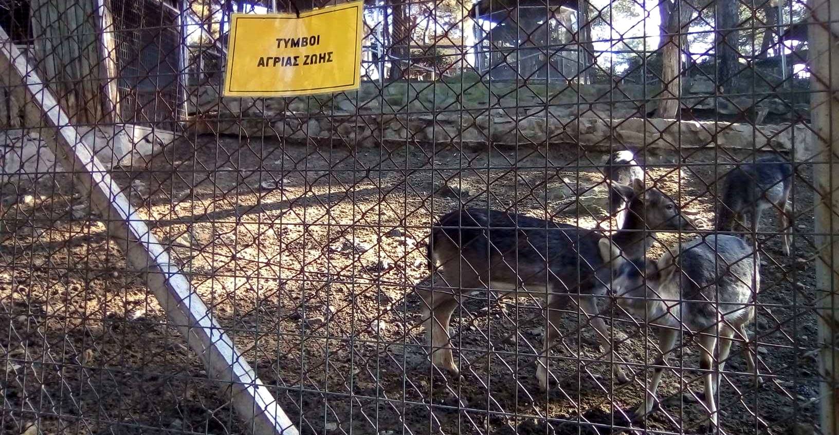 zoo_4.jpg zoo_4.jpg