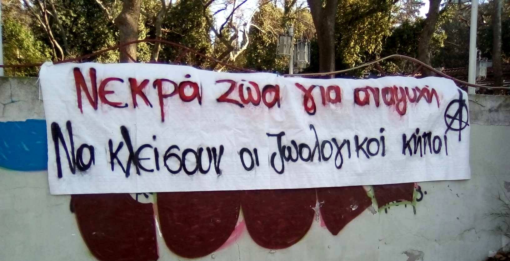 zoo_6.jpg zoo_6.jpg