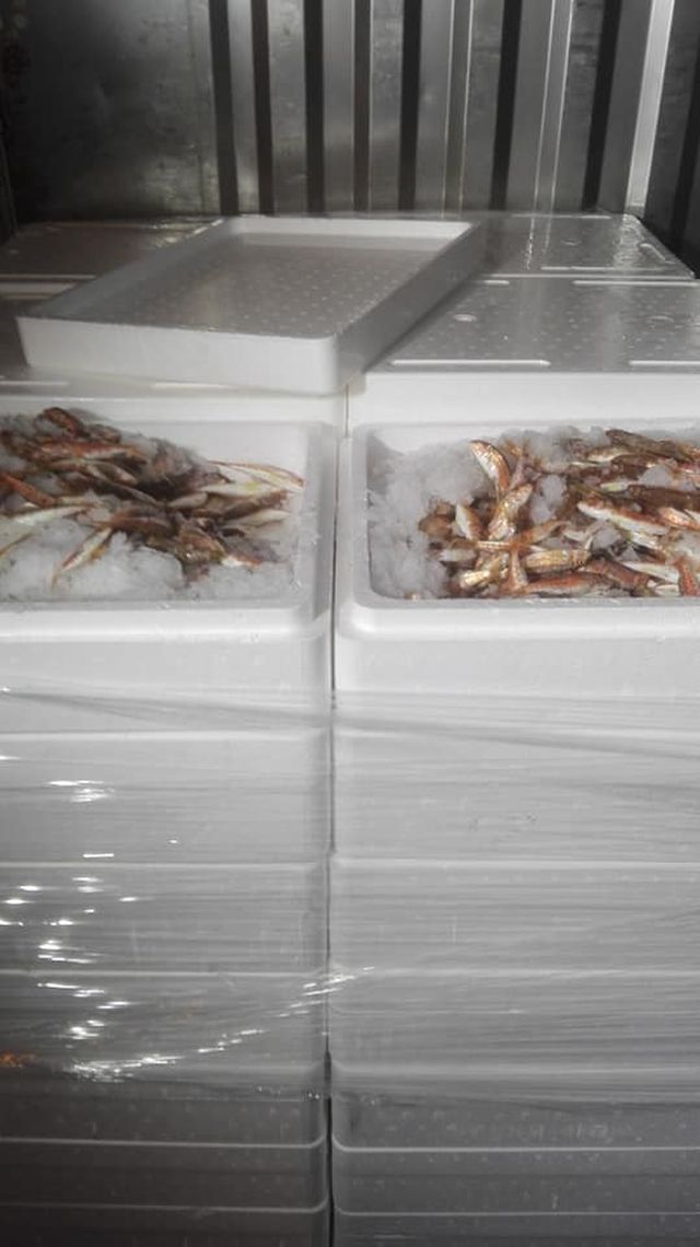 koutsomoures_mixaniona.jpg koutsomoures_mixaniona.jpg