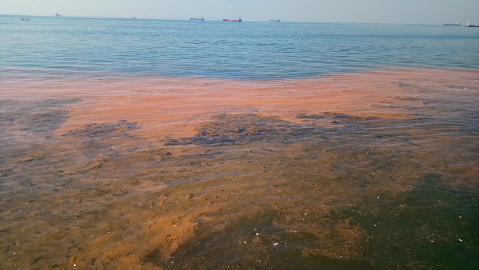 paralia-3.jpg paralia-3.jpg