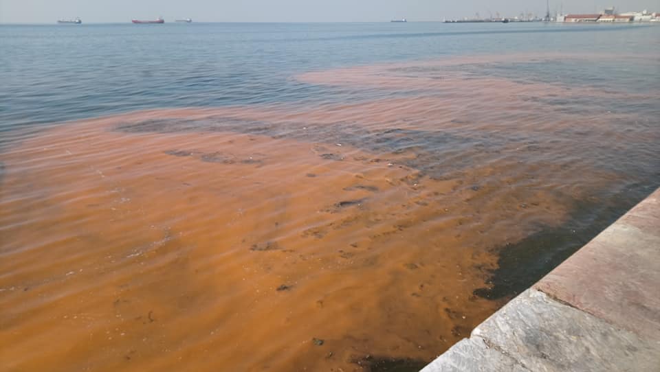 paralia-4.jpg paralia-4.jpg