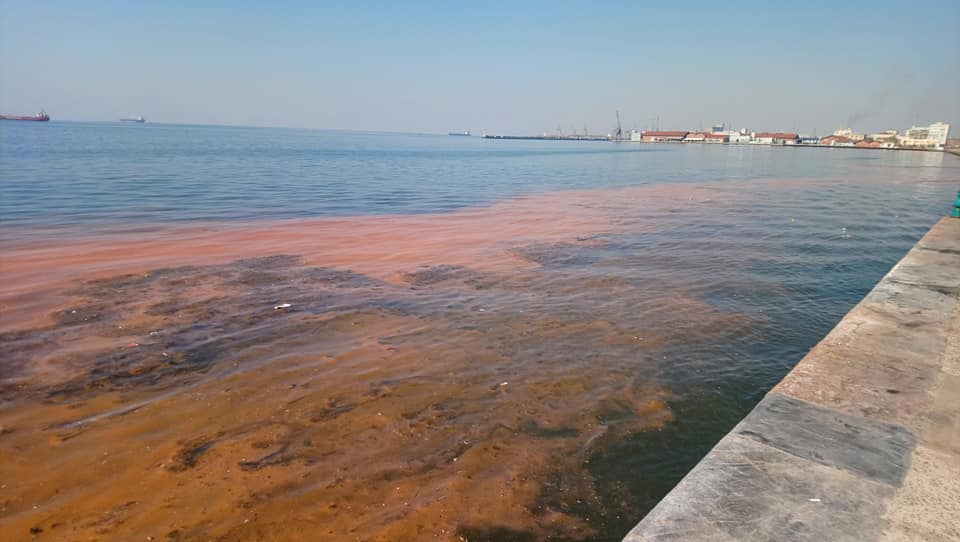 paralia-5.jpg paralia-5.jpg