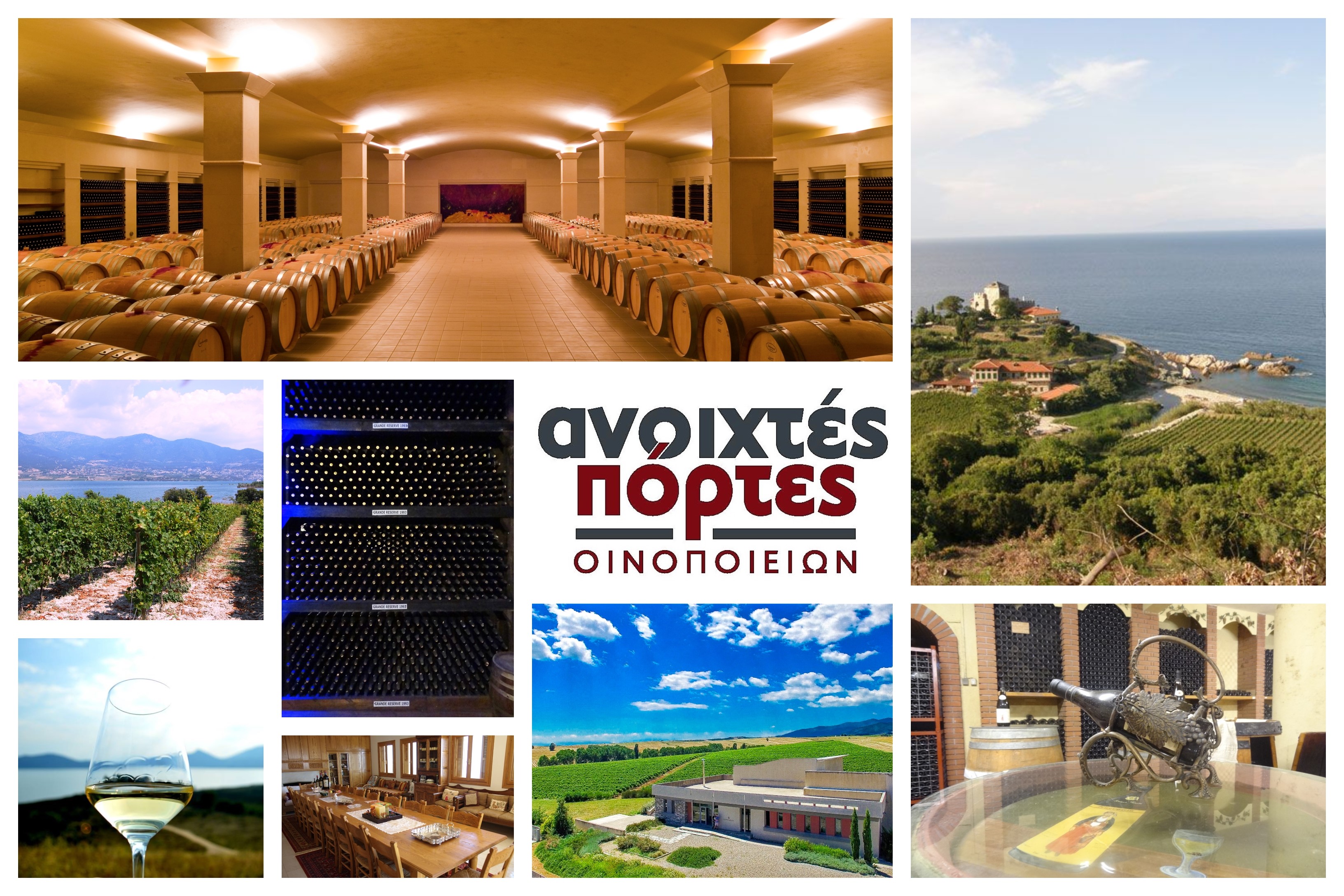 anoihtesportes19_collage1.jpg anoihtesportes19_collage1.jpg