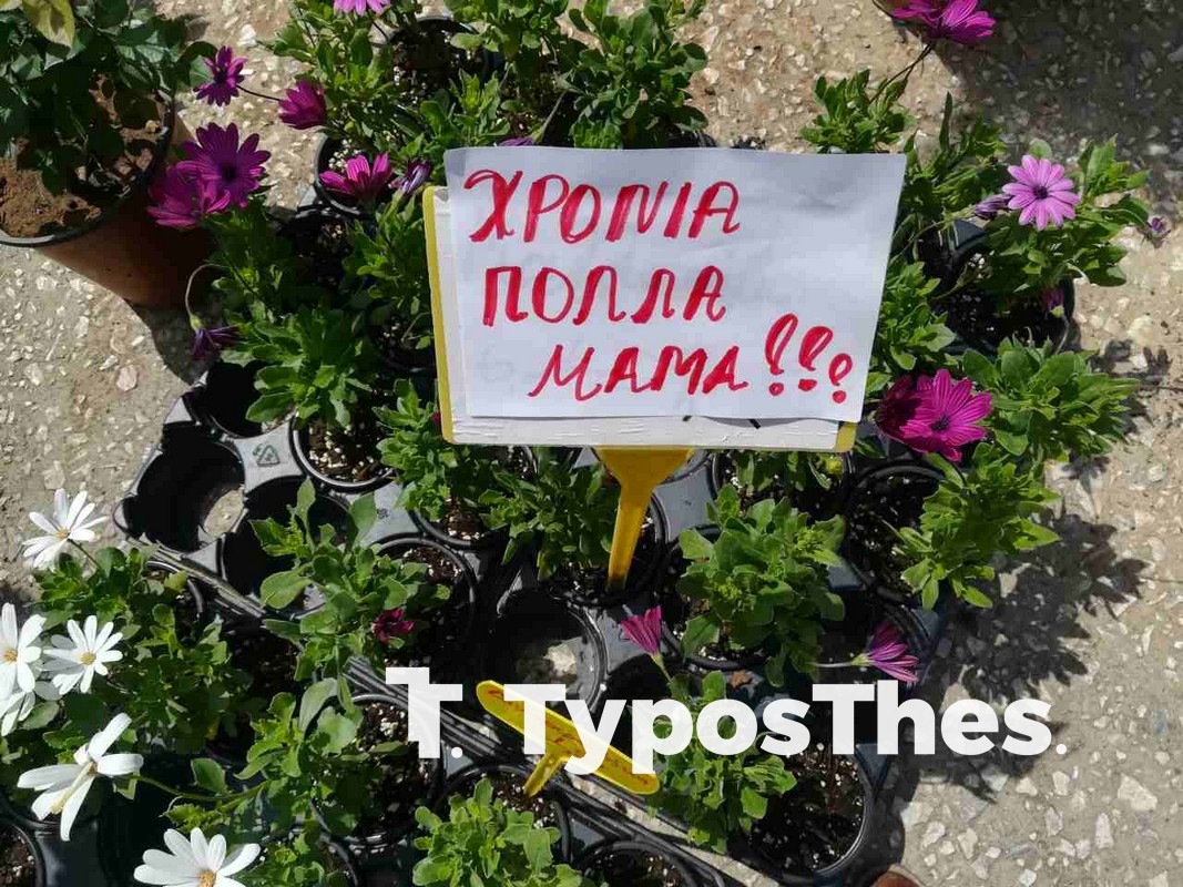 anthoekthesi-1.jpg anthoekthesi-1.jpg