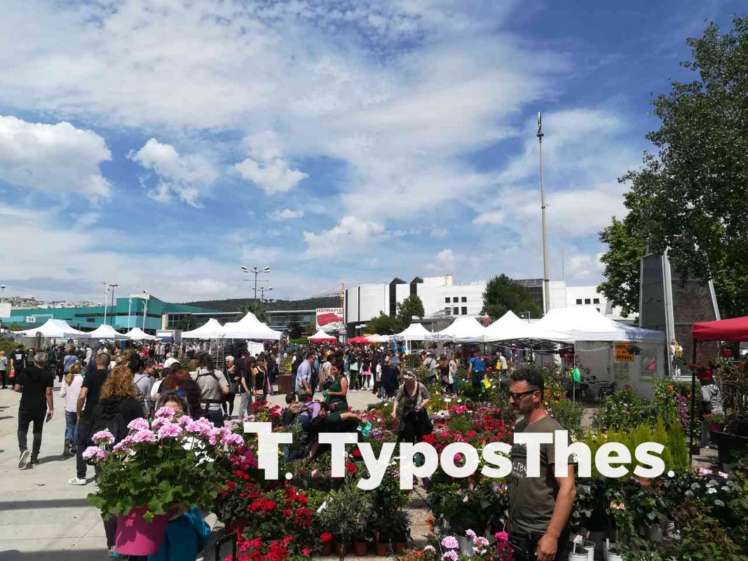 anthoekthesi-3.jpg anthoekthesi-3.jpg
