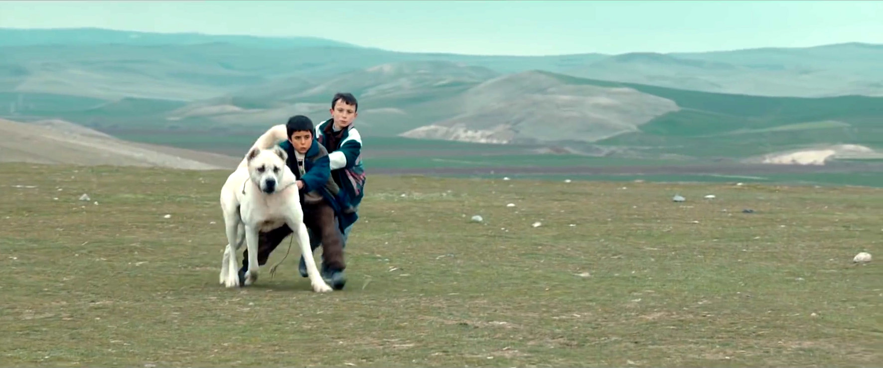 sivas_copy.jpg sivas_copy.jpg
