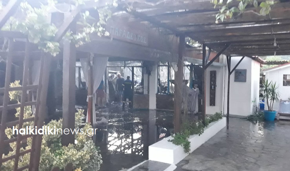 fotia_estiatorio_xalkidiki_6.jpg fotia_estiatorio_xalkidiki_6.jpg