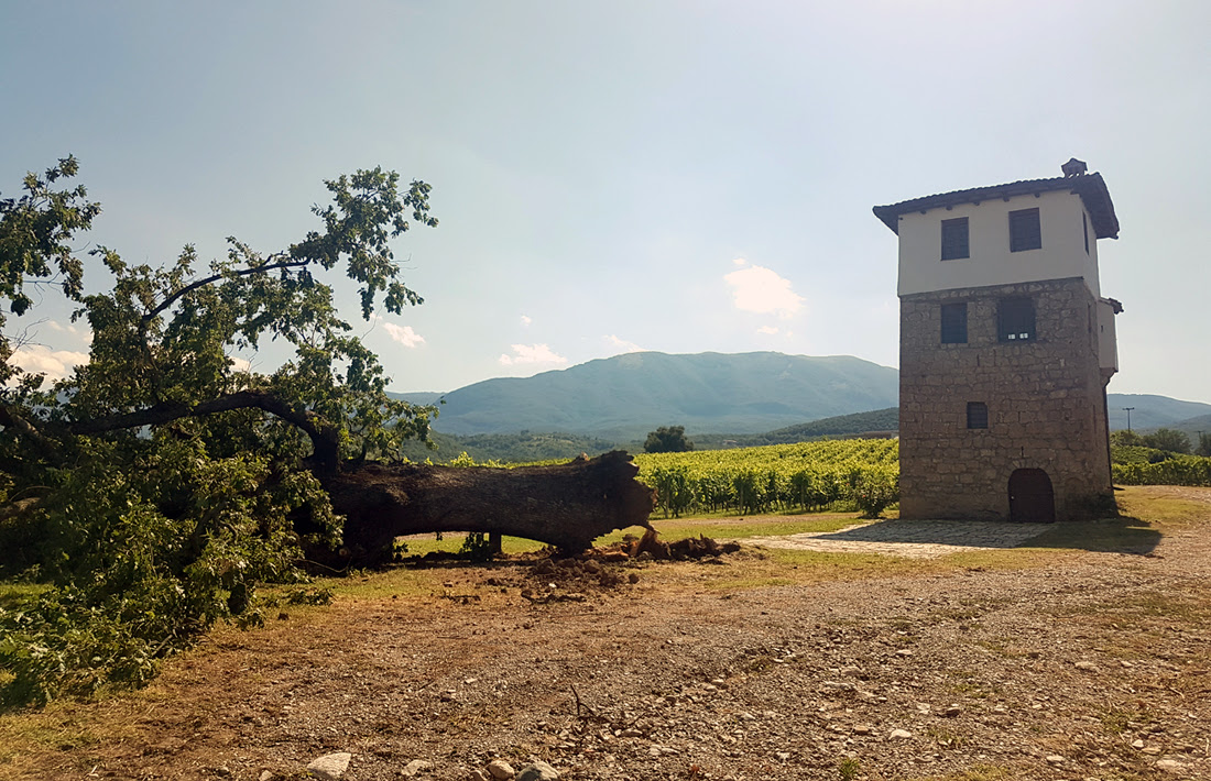 kir-gianni.jpg kir-gianni.jpg