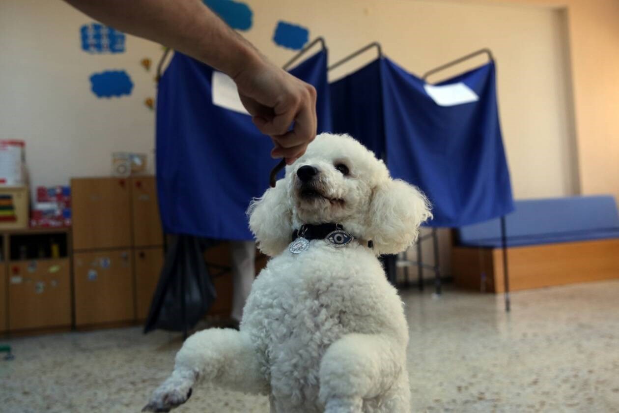 skyli-ekloges2.jpg skyli-ekloges2.jpg