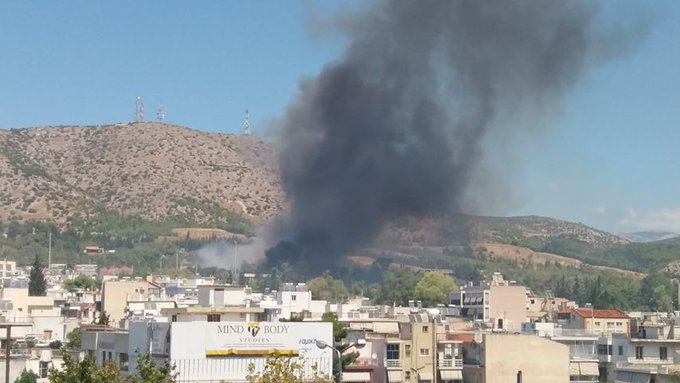 fotia_xaidari_2.jpeg fotia_xaidari_2.jpeg