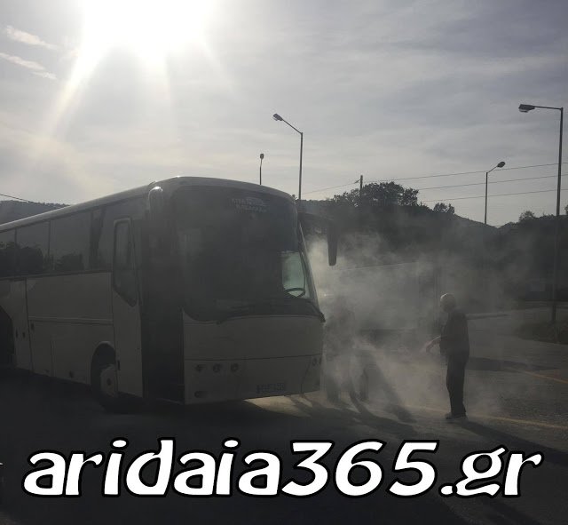 aridaia.jpg aridaia.jpg