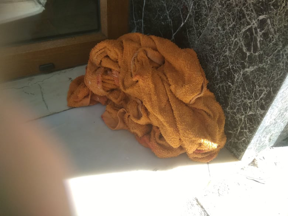 brefos_polykatoikia_brefos_polykatoikia_4.jpeg brefos_polykatoikia_brefos_polykatoikia_4.jpeg