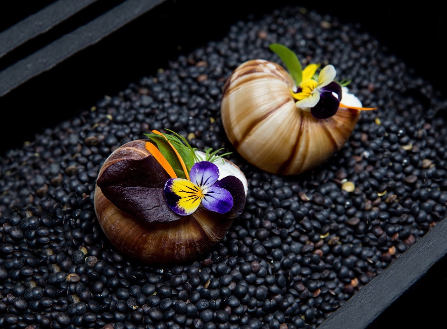 escargot_shells-by_andreas_klaydianos_uma.jpg escargot_shells-by_andreas_klaydianos_uma.jpg
