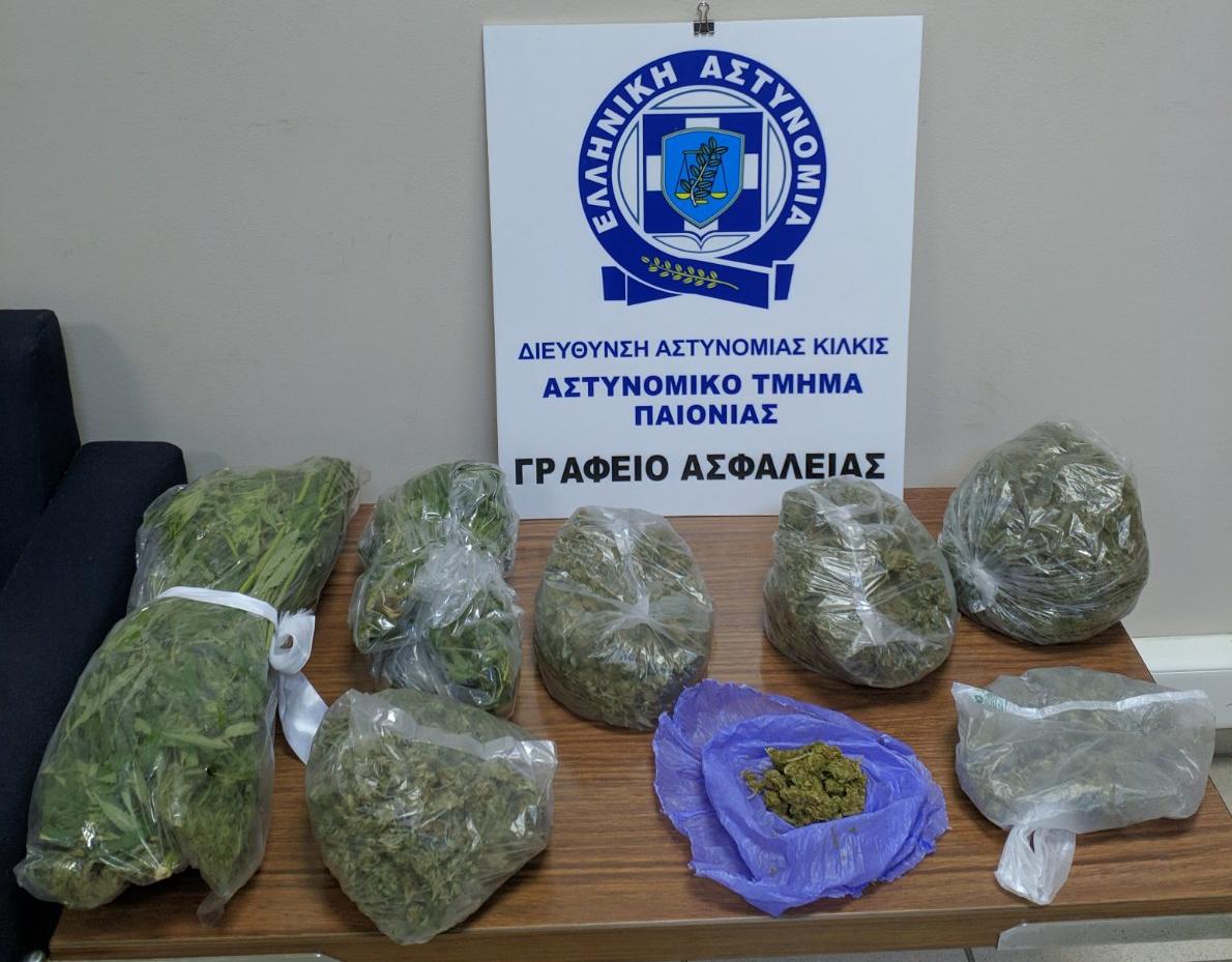katasxesi_kannabi_xalkidiki_2.jpg katasxesi_kannabi_xalkidiki_2.jpg