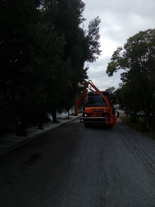 kladema_dentra_oraiokastro_2.jpg kladema_dentra_oraiokastro_2.jpg