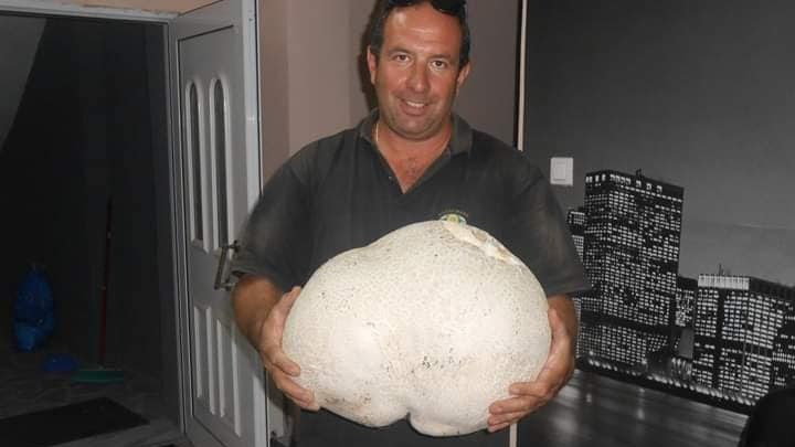 manitari_grebena.jpg manitari_grebena.jpg