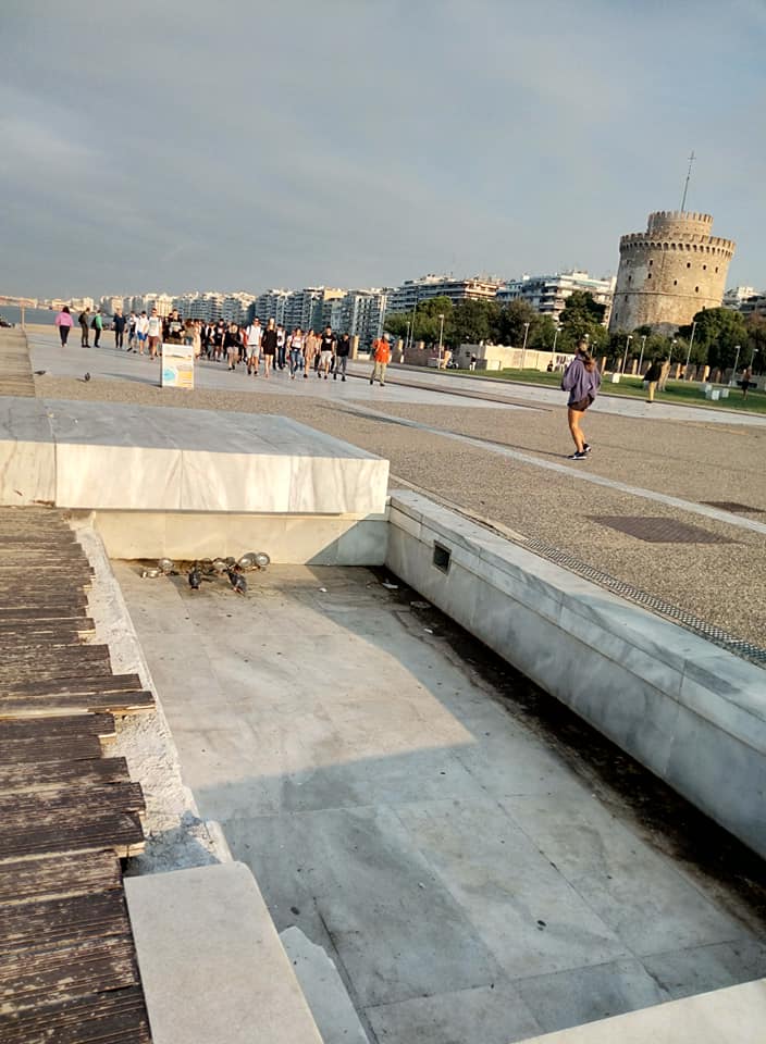 marmara-neaparalia.jpg marmara-neaparalia.jpg