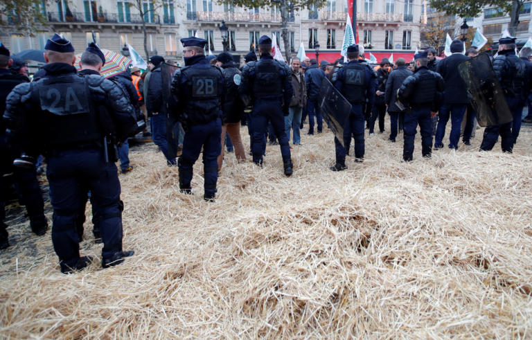 agrotes_parisi_1.jpg agrotes_parisi_1.jpg