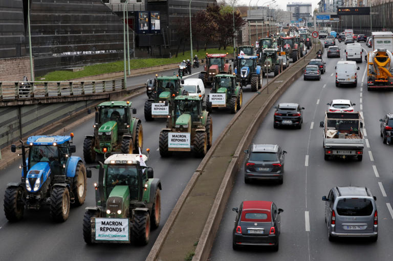 agrotes_parisi_4.jpg agrotes_parisi_4.jpg