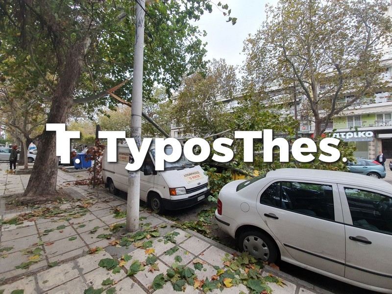 dentra-thessaloniki-4.jpg dentra-thessaloniki-4.jpg
