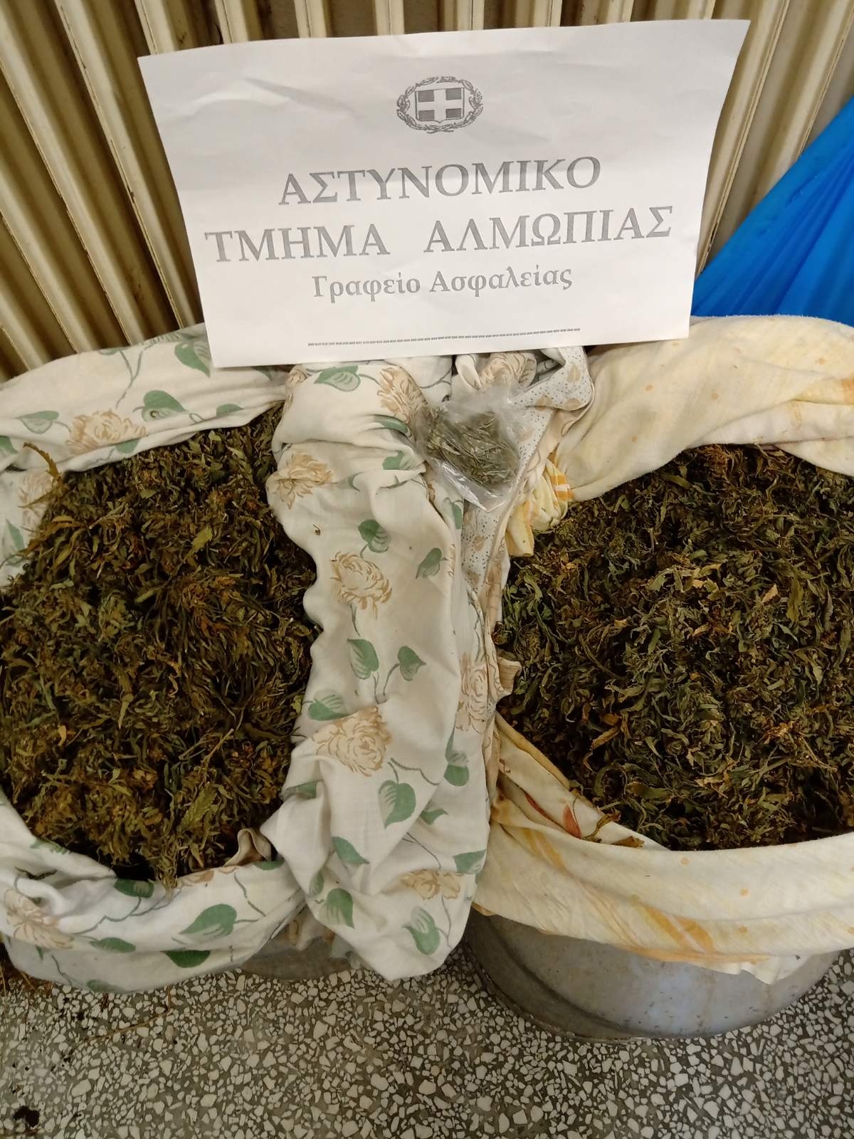 kannabi_pella.jpg kannabi_pella.jpg