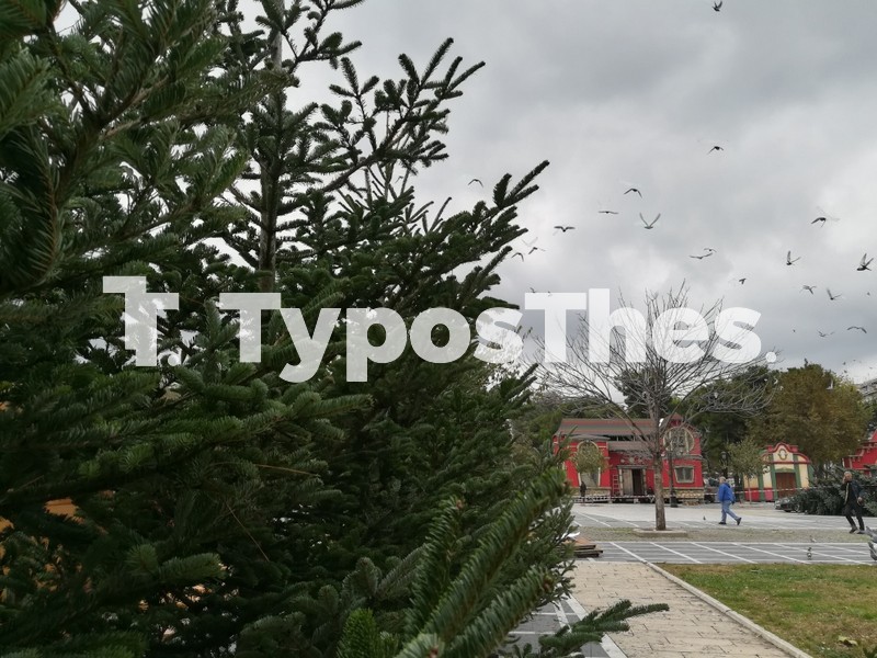 magemenes-giortes-thess00008.jpg magemenes-giortes-thess00008.jpg