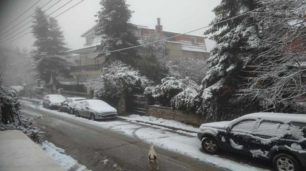 2019_xionia2.jpg 2019_xionia2.jpg