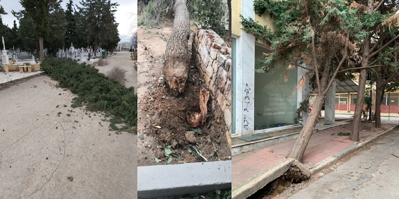 alexandroupoli_anemoi_3.jpg alexandroupoli_anemoi_3.jpg