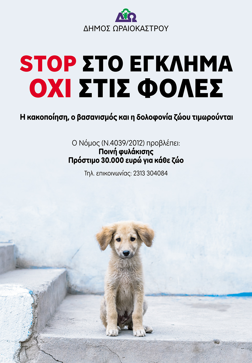kampania_zwa_oraiokastro.jpg kampania_zwa_oraiokastro.jpg