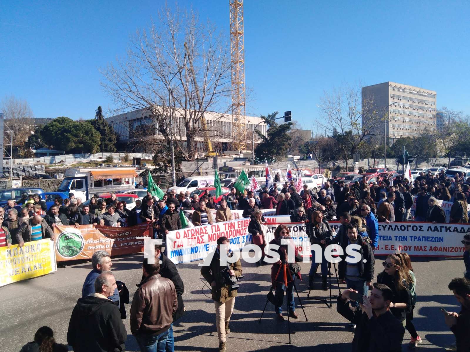 agrotes.jpg agrotes.jpg