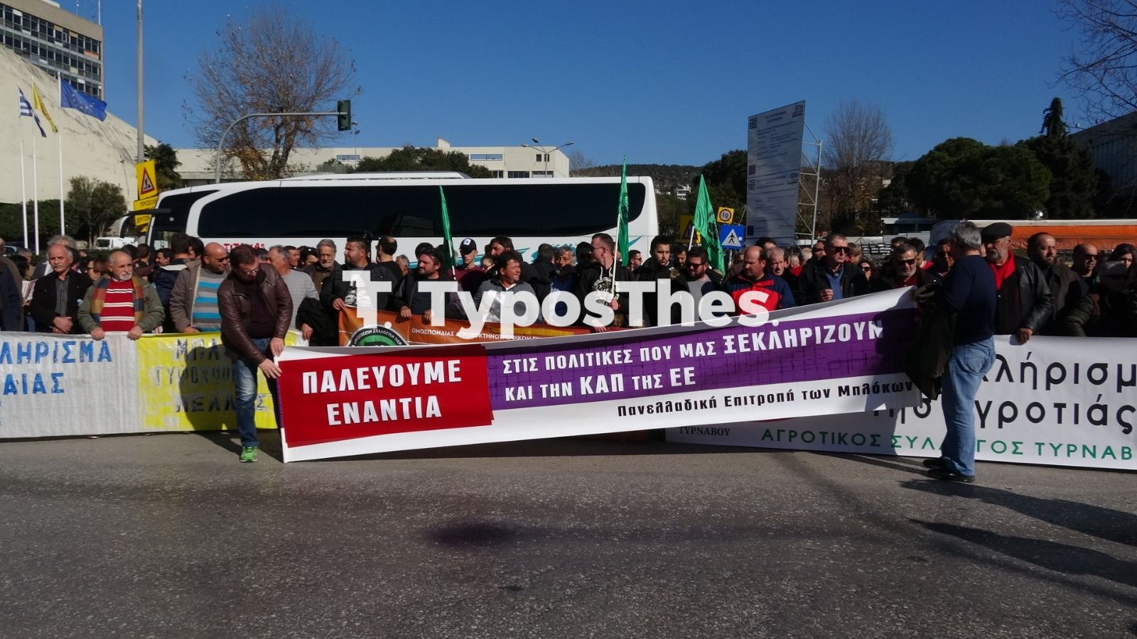 agrotes13.jpg agrotes13.jpg