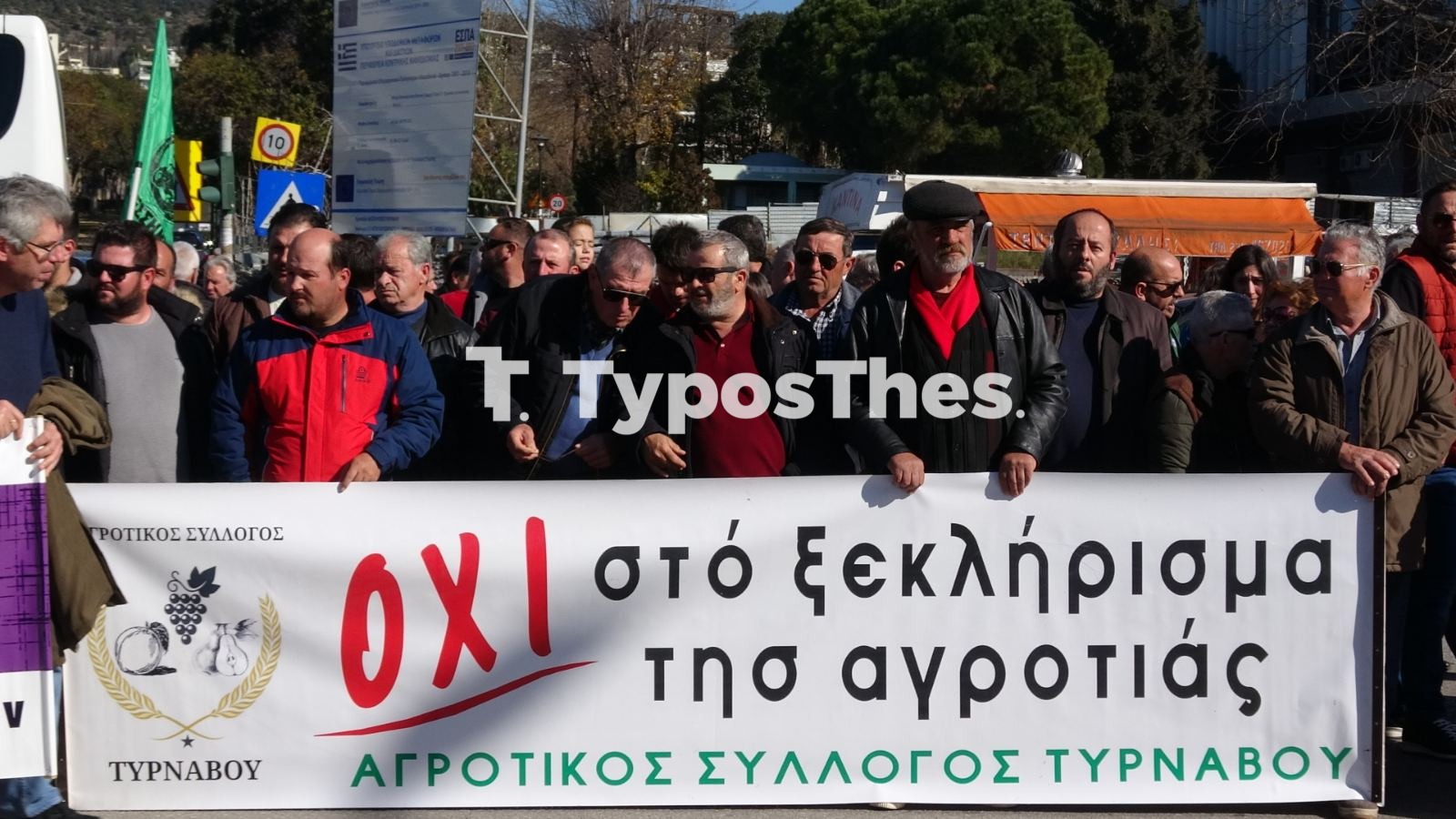 agrotes14.jpg agrotes14.jpg
