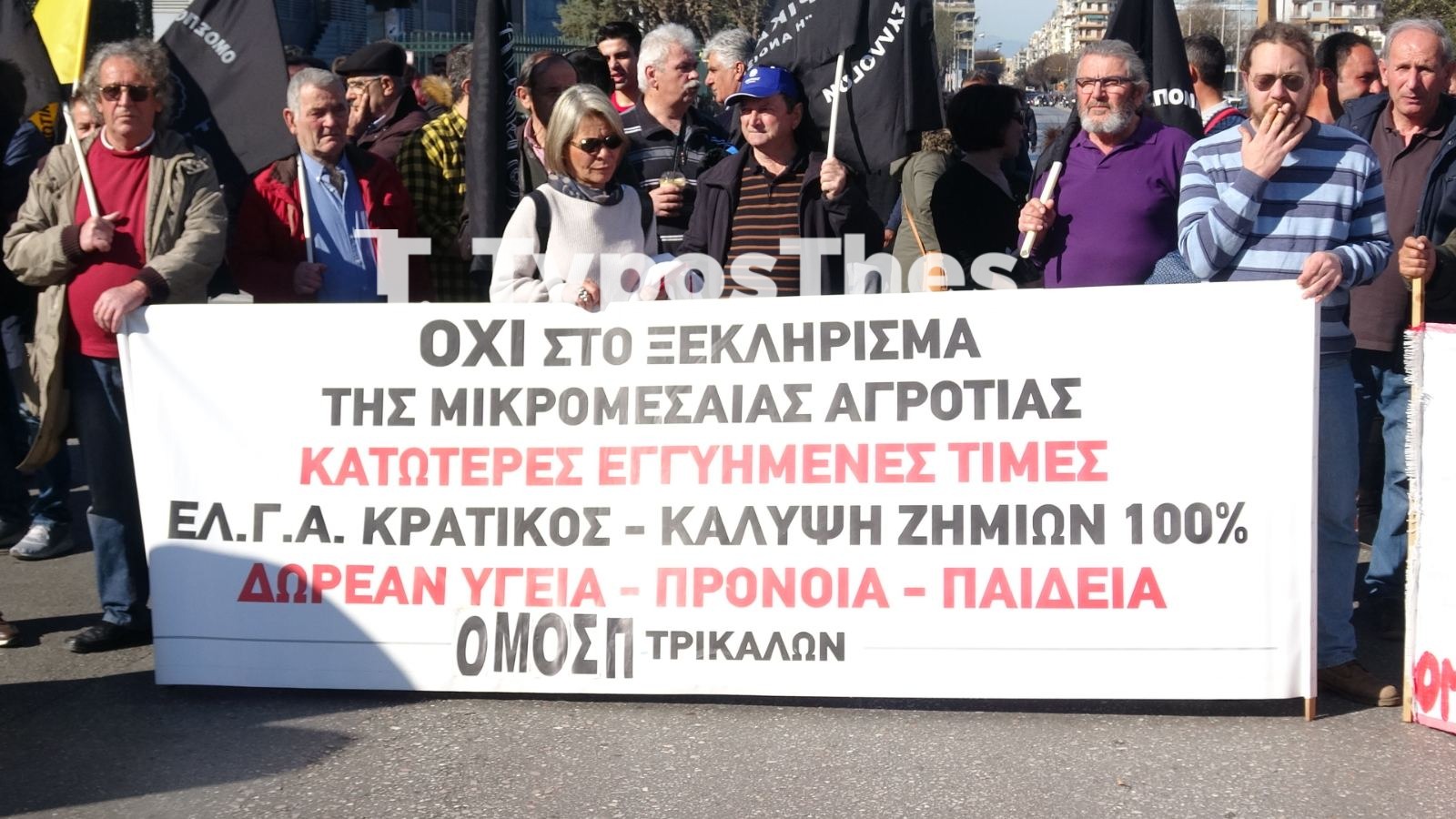 agrotes18.jpg agrotes18.jpg