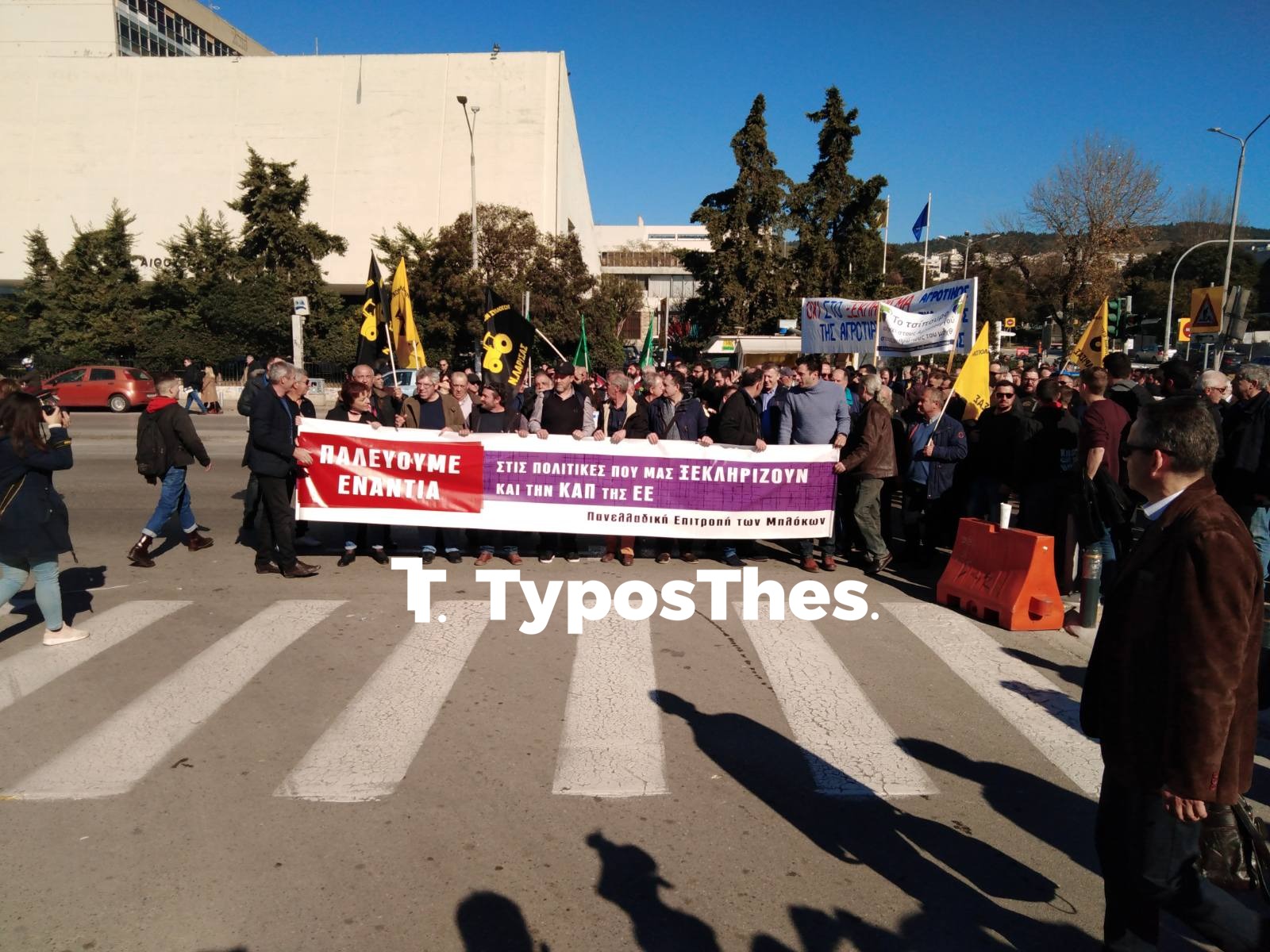 agrotes1.jpg agrotes1.jpg