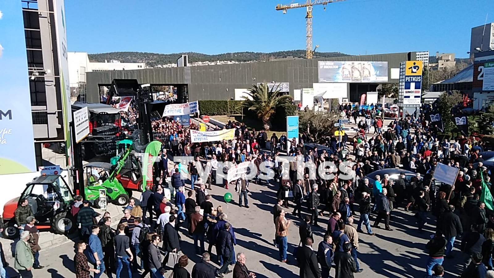 agrotes2.jpg agrotes2.jpg