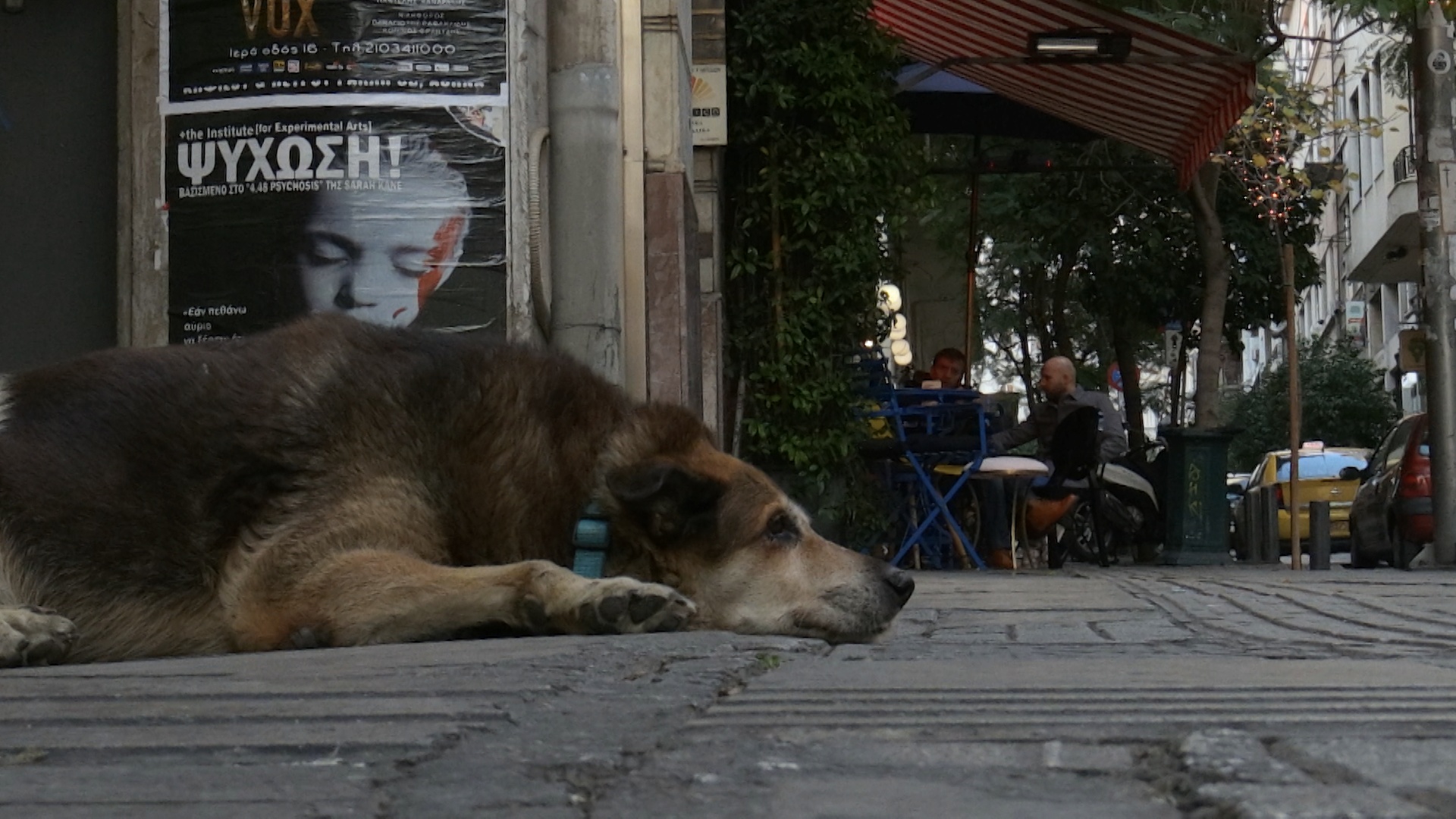 eldoc_oi_agnostoi_athinaioi.jpg eldoc_oi_agnostoi_athinaioi.jpg