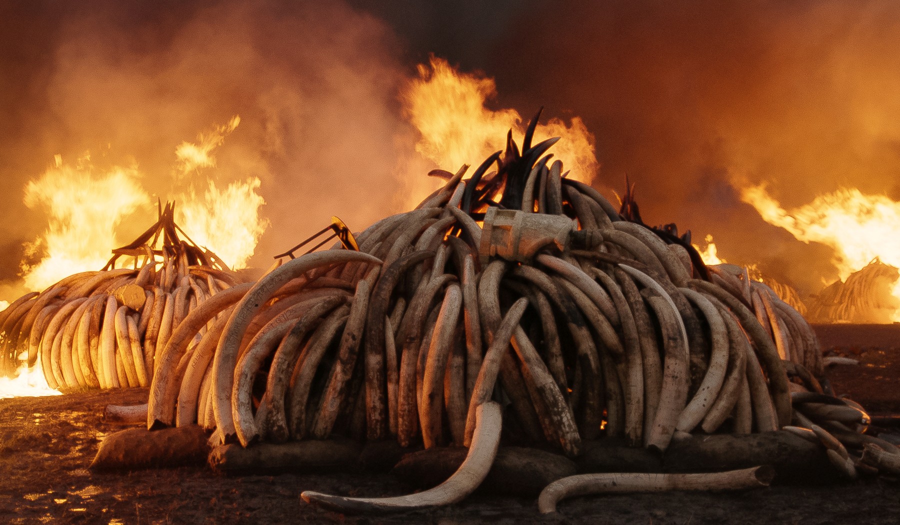 fdoc_anthropocene_human_epoch.jpg fdoc_anthropocene_human_epoch.jpg