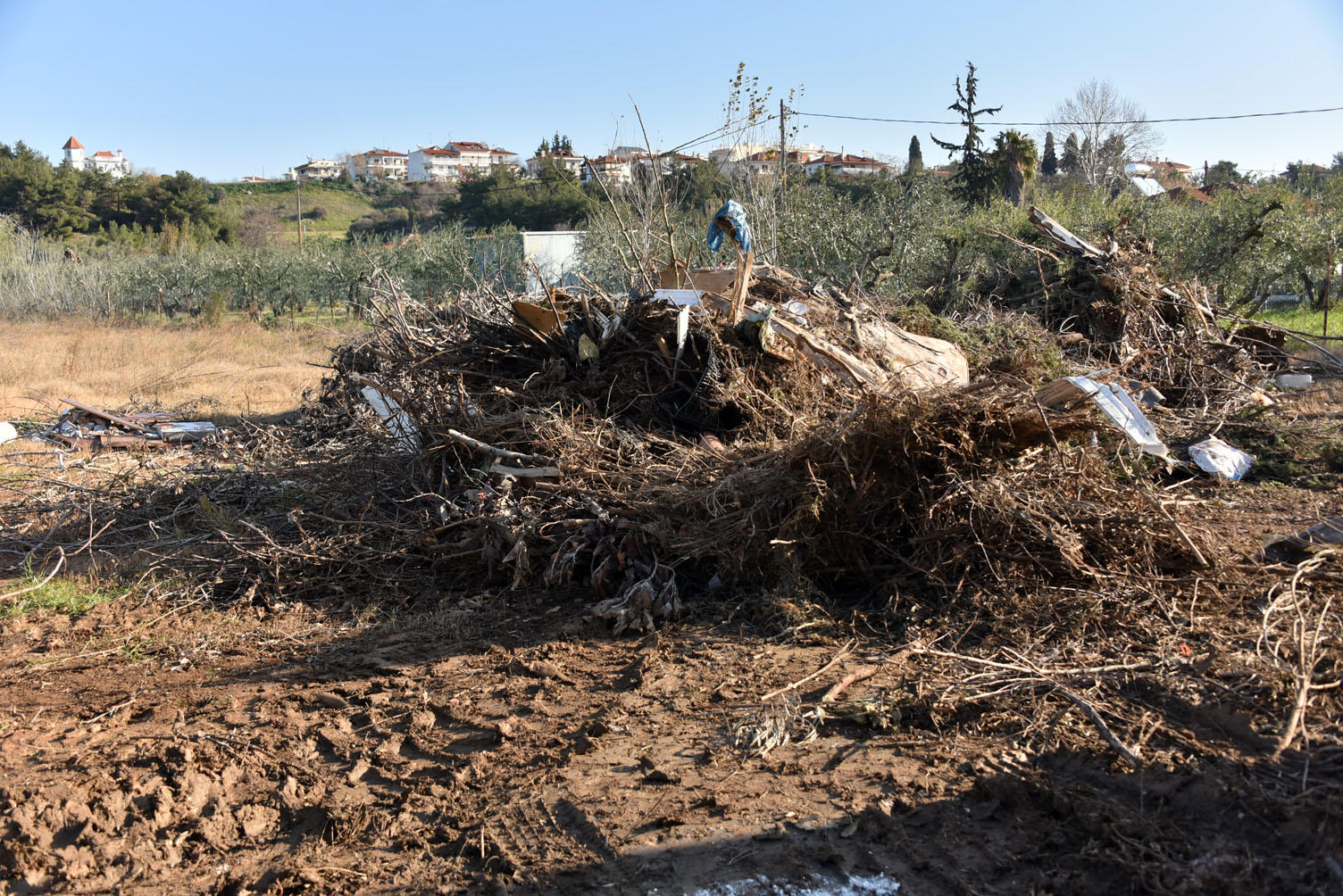 flogita_aporrimmata_3.jpg flogita_aporrimmata_3.jpg