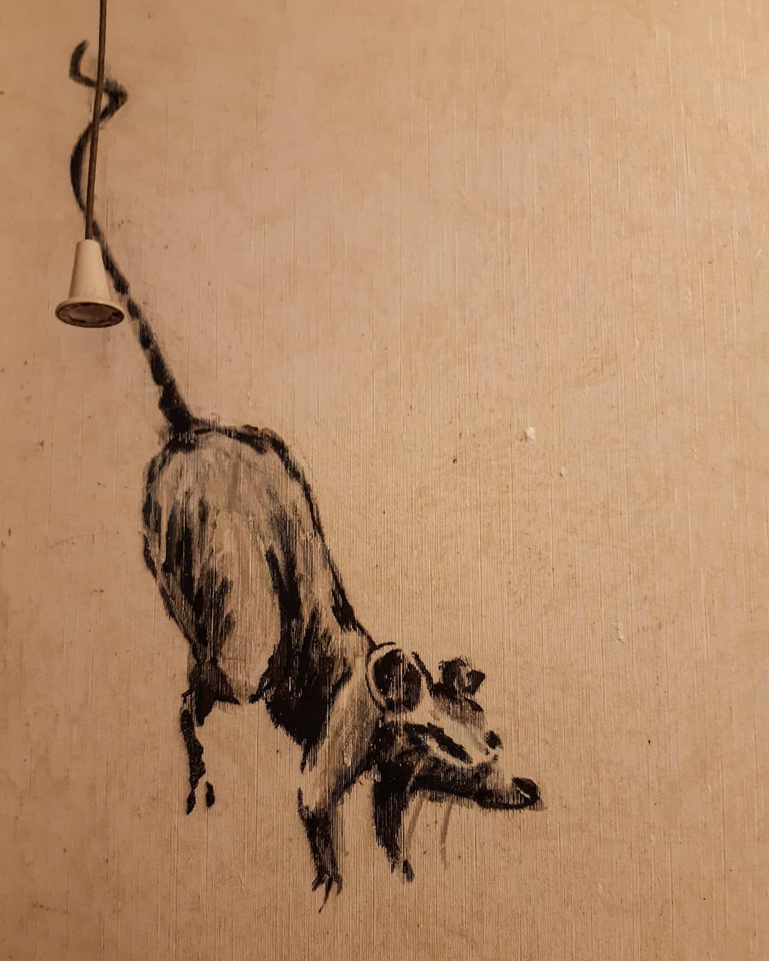 bansky_bathroom_detail_2.jpg bansky_bathroom_detail_2.jpg