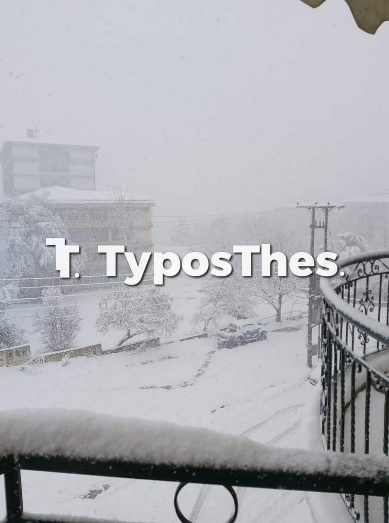 florina-2.jpg florina-2.jpg