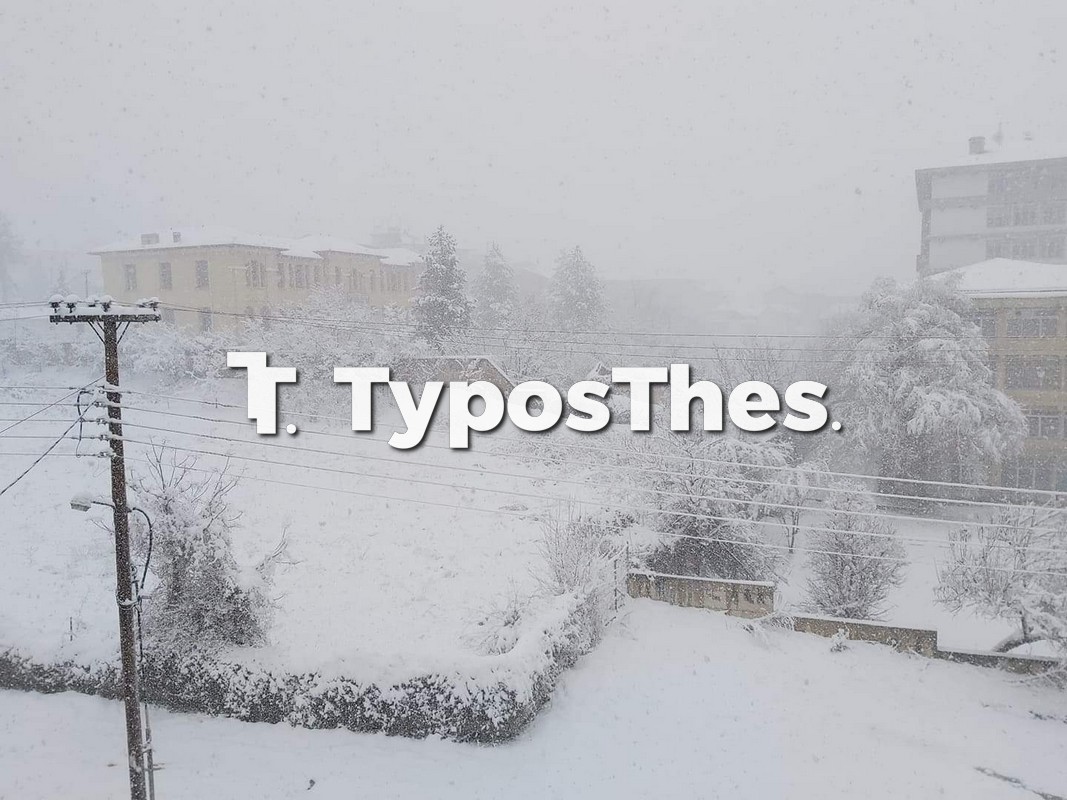 florina-4.jpg florina-4.jpg