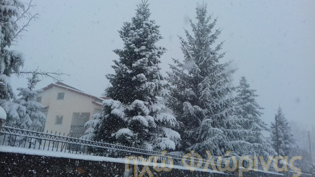 xionia-florina.jpg xionia-florina.jpg
